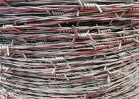 Seng Dilapisi Kawat Pagar Pertanian Barb 14 Gauge Barbwire Dengan Spesifikasi Yang Dapat Disesuaikan