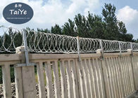 Kualitas tinggi Harga Rendah Penjualan Panas Nyata Pabrik Langsung Theftproof Razor Barbed Wire