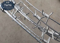 Menyesuaikan Keamanan Single Coil Wire Berduri Anti Karat Digunakan Di Pagar Raya