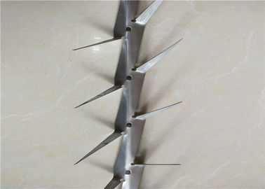 Paku Dinding Batas Ukuran Kecil, Paku Anti Panjat Anti Climb Stainless Steel
