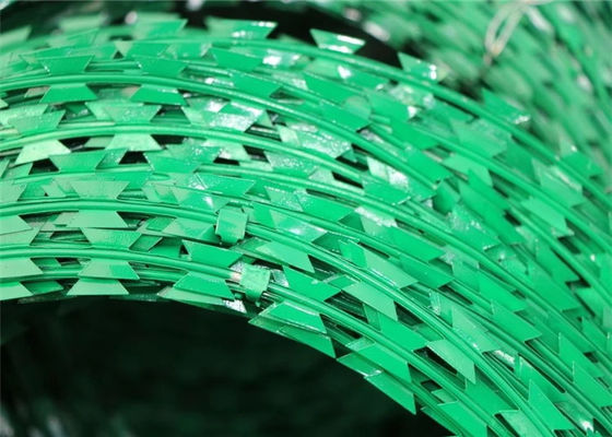 Plastik Cat Cukur Kawat Pvc Dilapisi Galvanis Concertina Kawat Pvc Kandang Menyengat