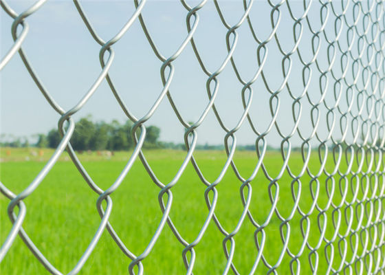 Baja Galvanis Tugas Berat 1.8m X 25m Chain Link Anggar Mesh